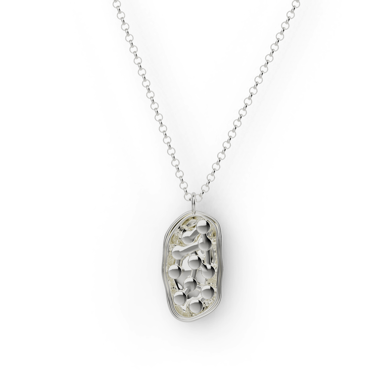 Sterling silver chloroplast necklace featuring intricate 3D detailing, inspired by photosynthesis.