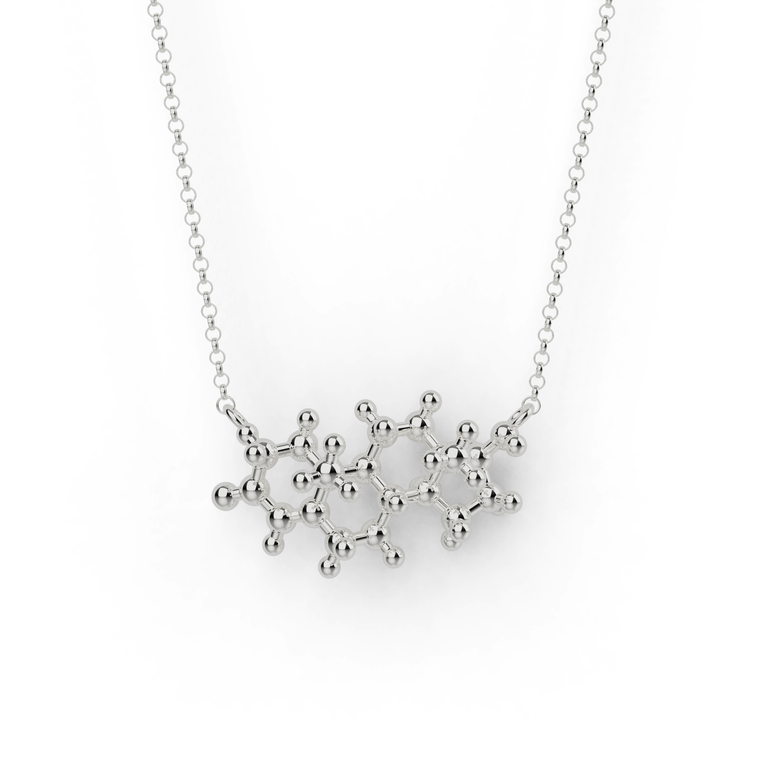 testosterone necklace | silver