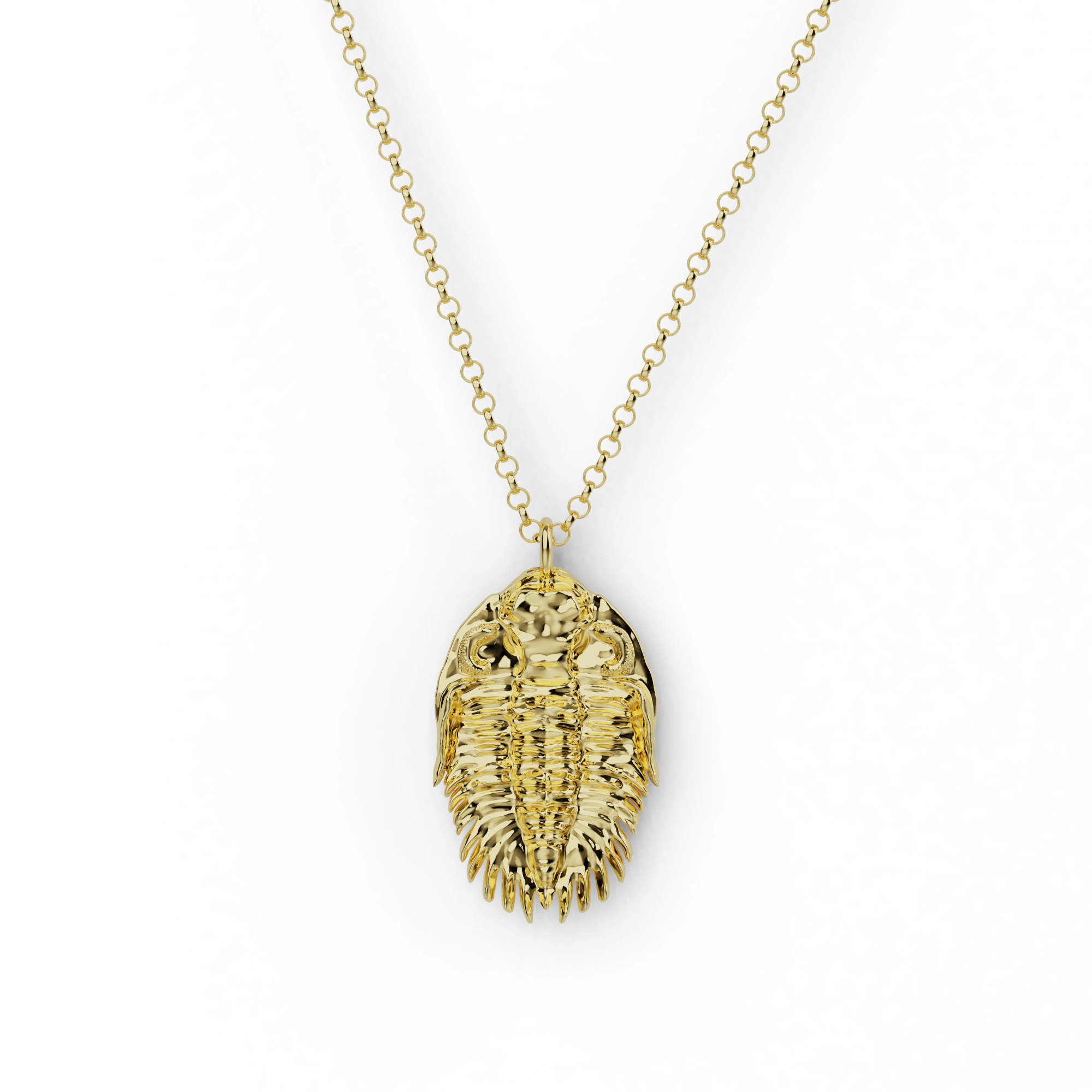 Gold vermeil trilobite necklace inspired by ancient fossils and evolution