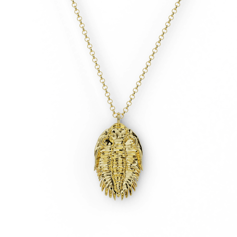 Gold vermeil trilobite necklace inspired by ancient fossils and evolution
