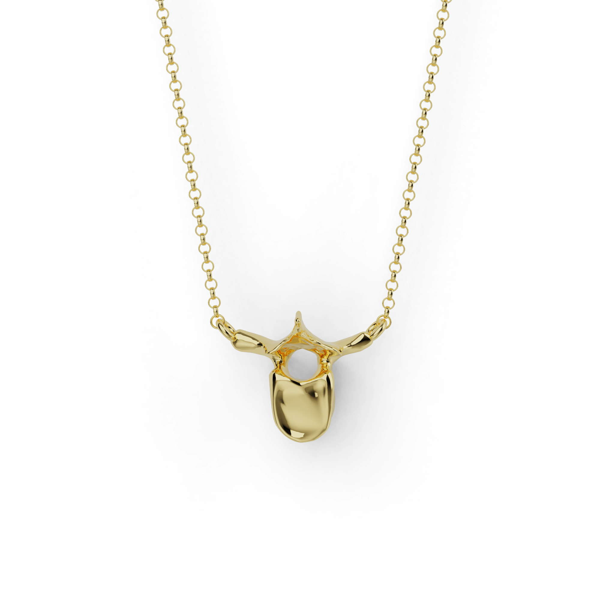 Gold vermeil thoracic vertebra necklace with anatomical pendant design.