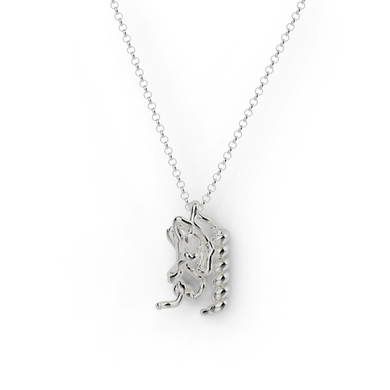 exenatide necklace | silver