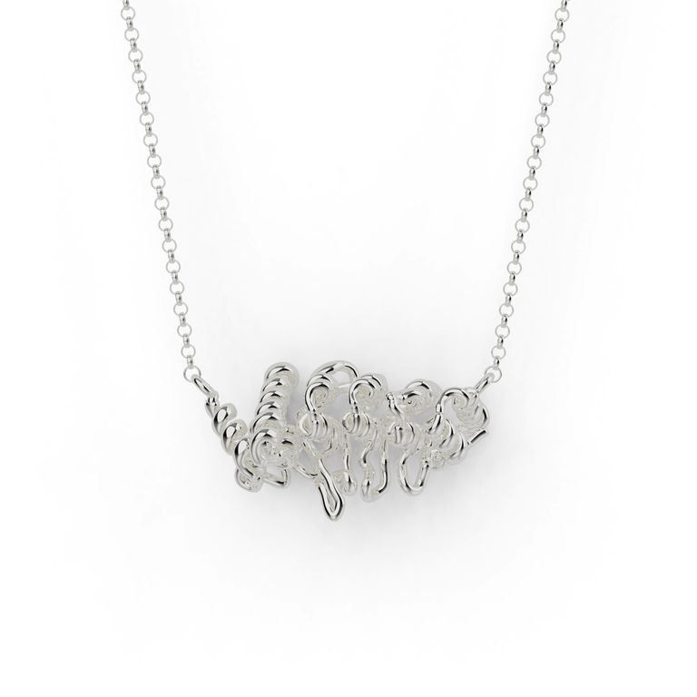 ankyrin necklace | silver