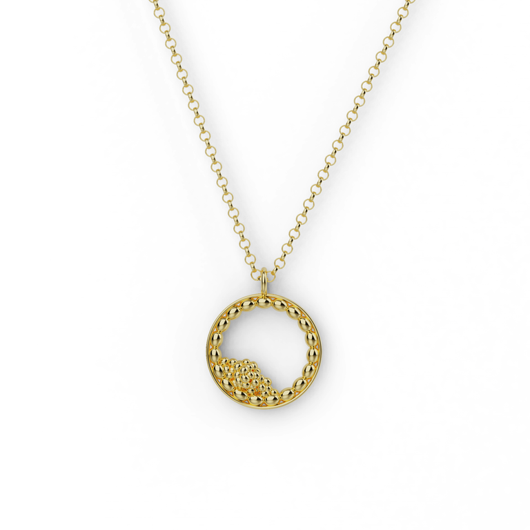 Gold vermeil blastocyst necklace with cell-inspired pendant design.