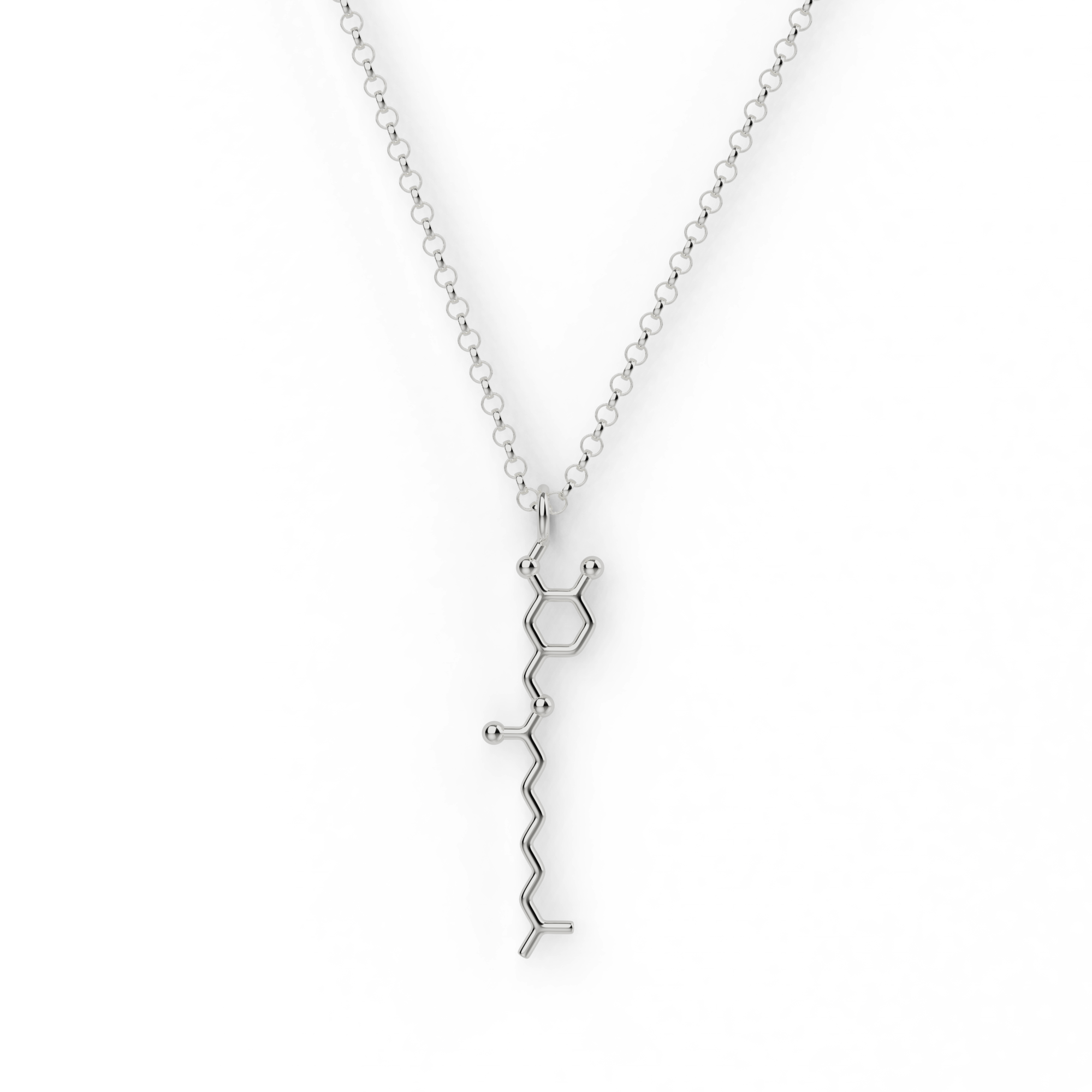 capsaicin necklace | silver