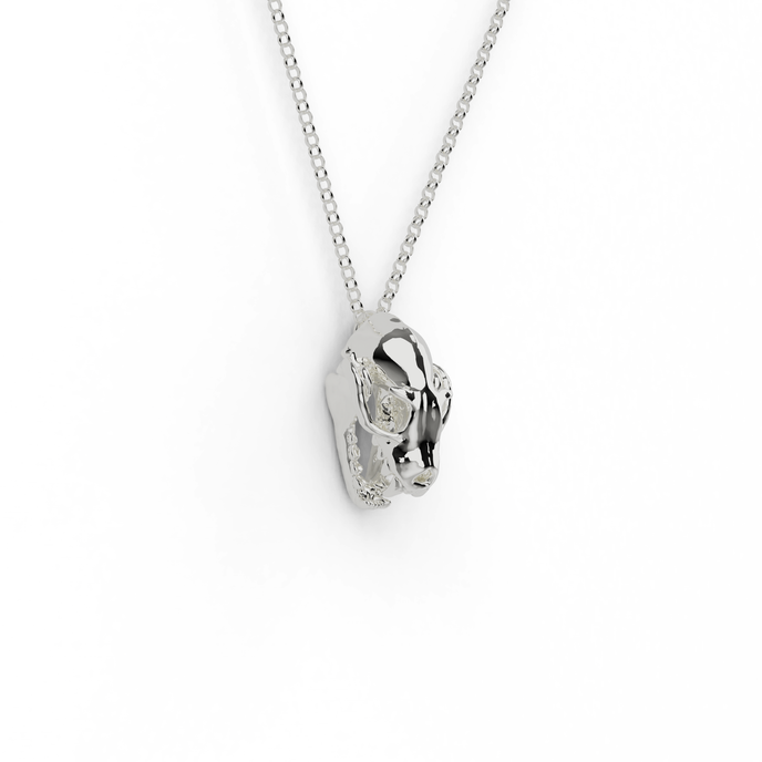 Close-up of a silver fruit bat skull necklace pendant on a chain – science-inspired jewelry for biology and bat enthusiasts.