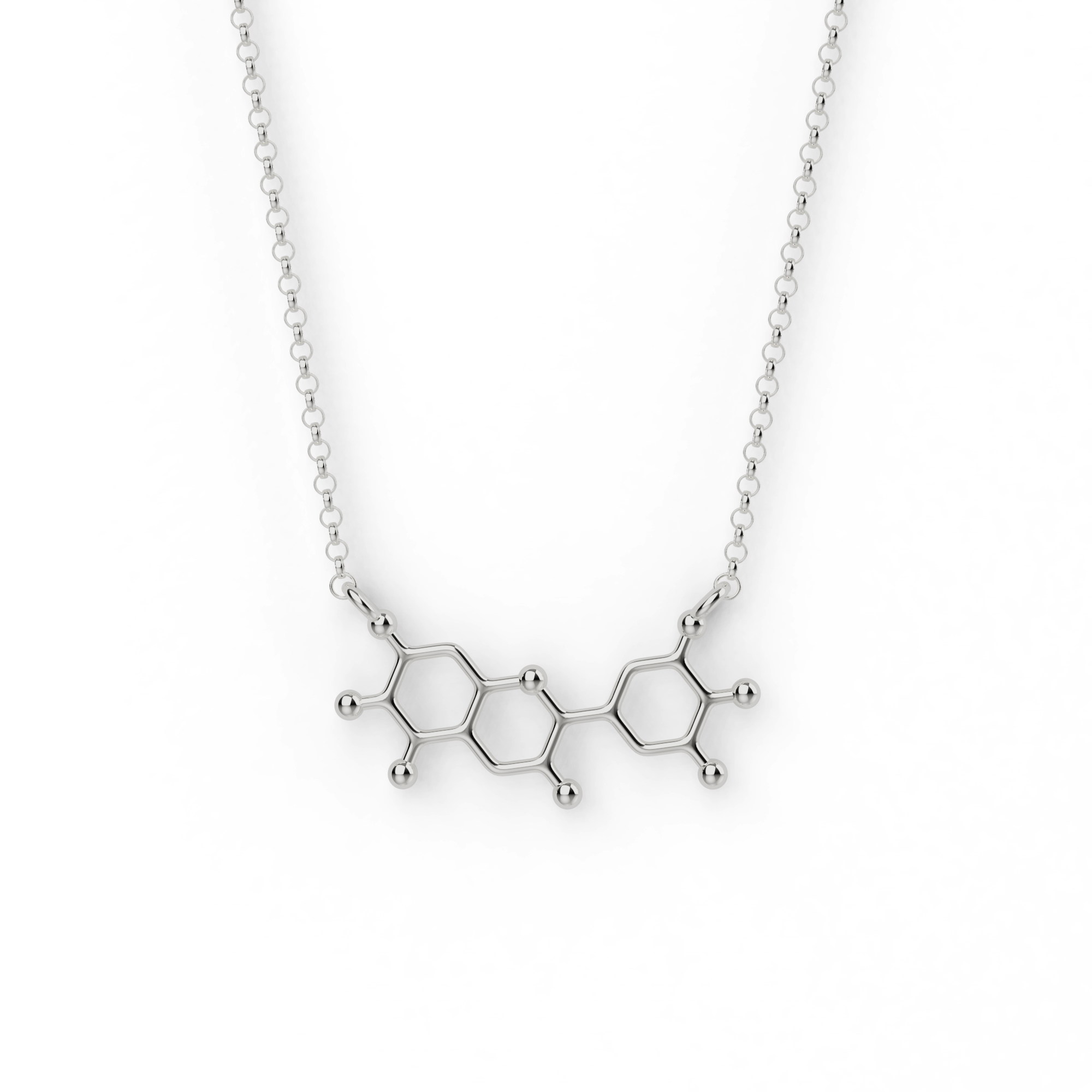 anthocyanin necklace | silver