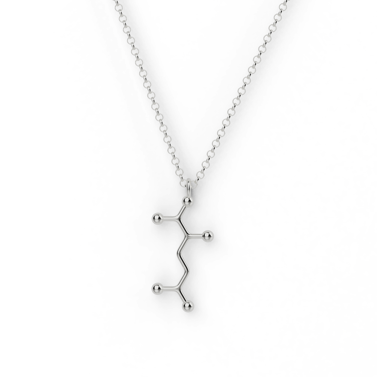 glutamate necklace | silver