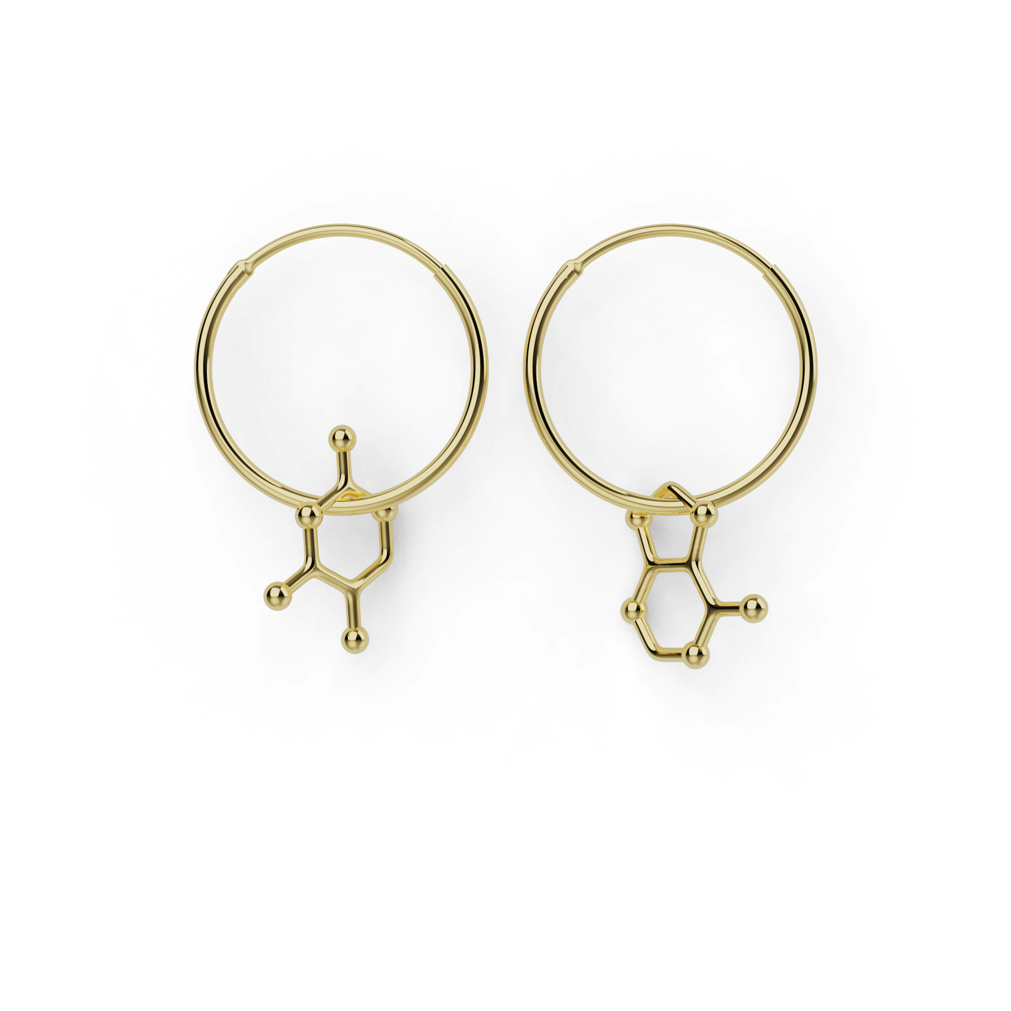 18K gold vermeil adenine-thymine earrings, a pair of hoops with the DNA bases adenine and thymine, one on each ear