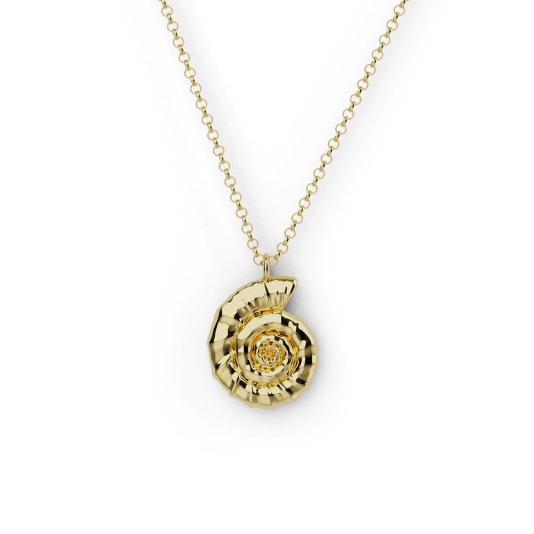 ammonite necklace | gold vermeil