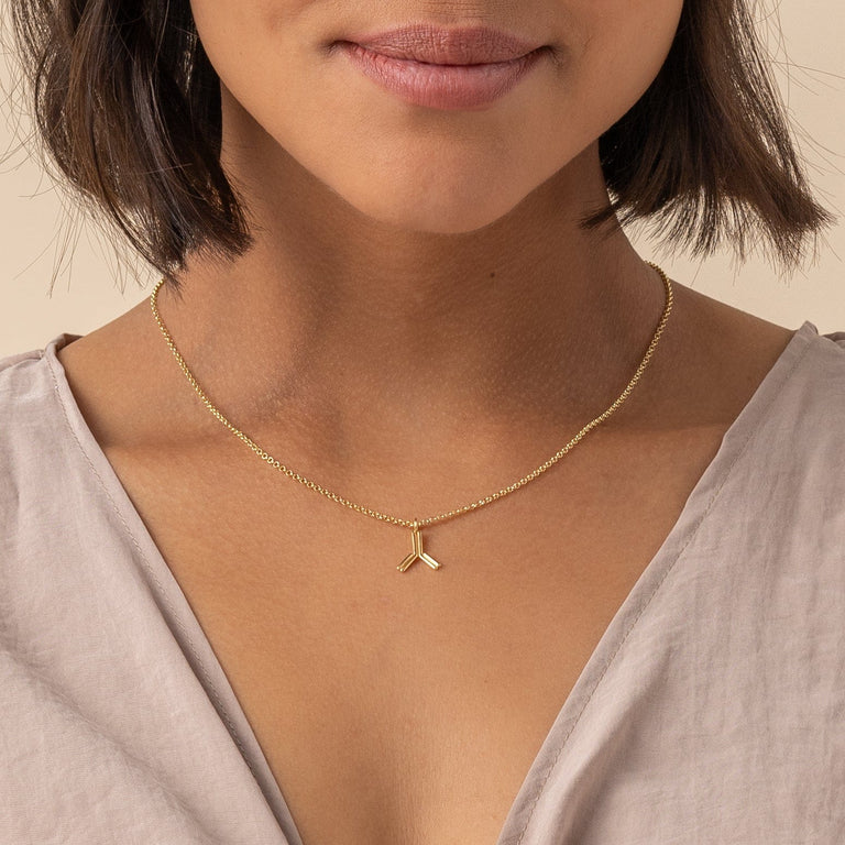 antibody necklace | gold vermeil