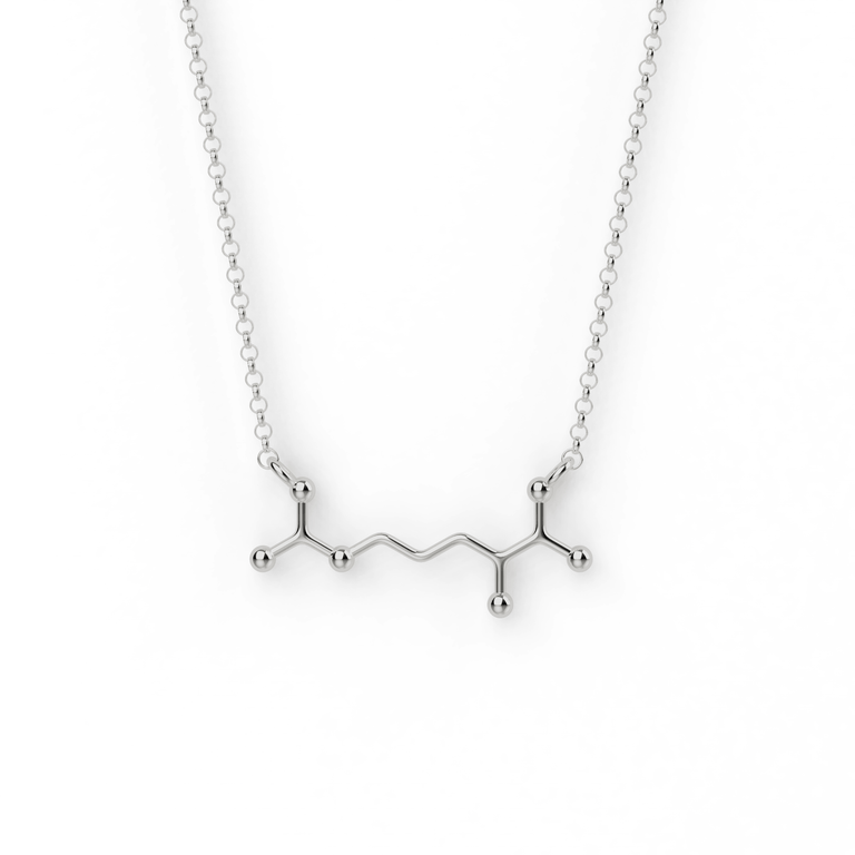 arginine necklace | silver