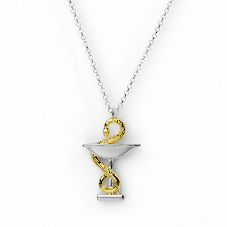 two-tone bowl of Hygieia necklace, gold vermeil snake on a sterling silver bowl, pharmacy symbol