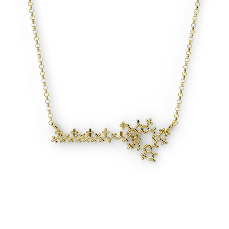18K gold vermeil chlorophyll necklace, a horizontal pendant in the form of the chlorophyll molecule on a gold chain