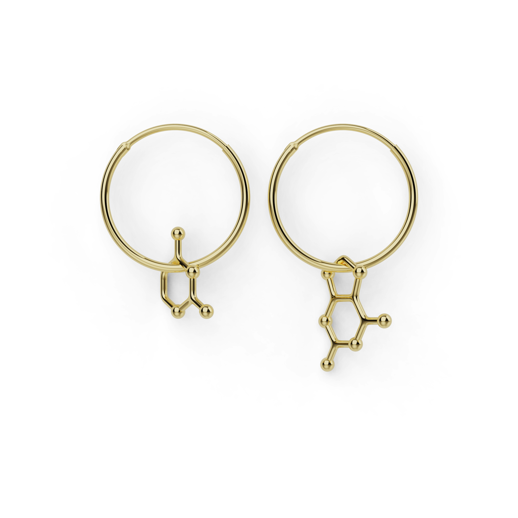 18K gold vermeil cytosine-guanine earrings, a pair of hoops with the DNA bases cytosine and guanine, one on each ear