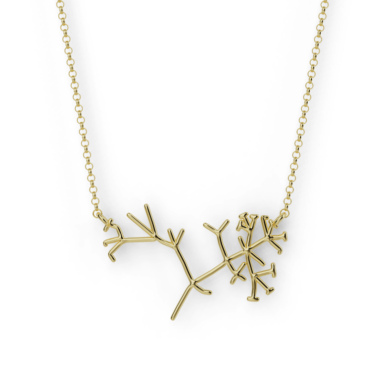 Darwin's phylogenetic tree necklace | gold vermeil