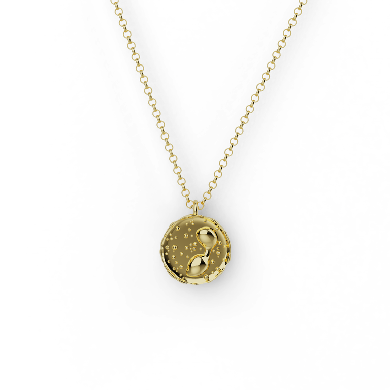 18K gold vermeil eosinophil necklace, a round pendant inspired by the eosinophil white blood cell, on a gold vermeil chain