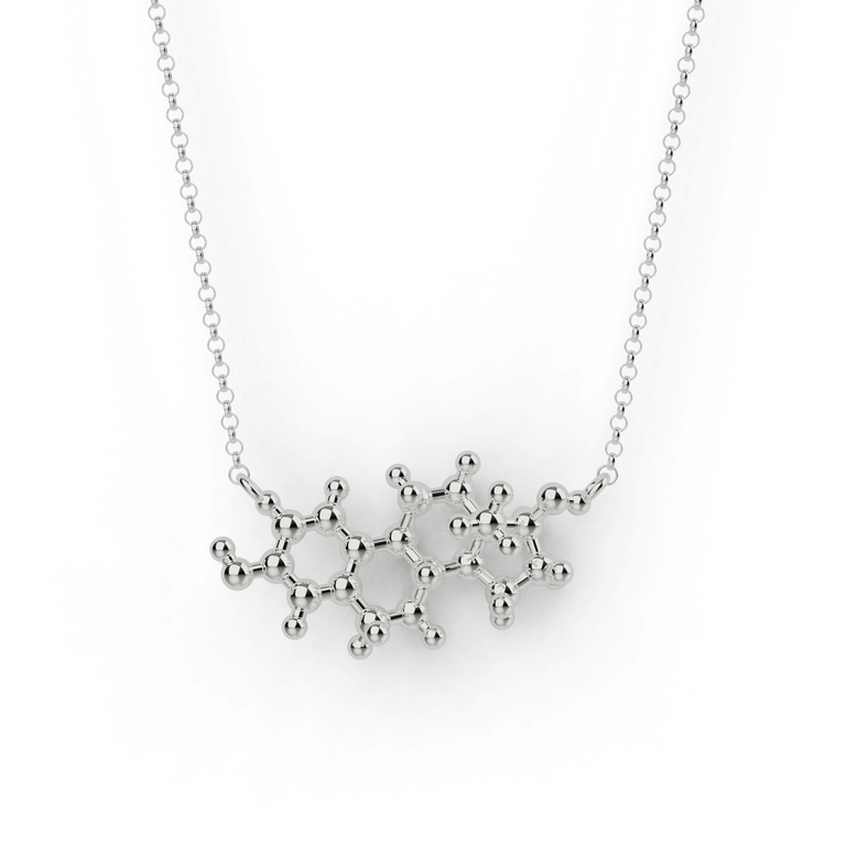 estrogen necklace | silver