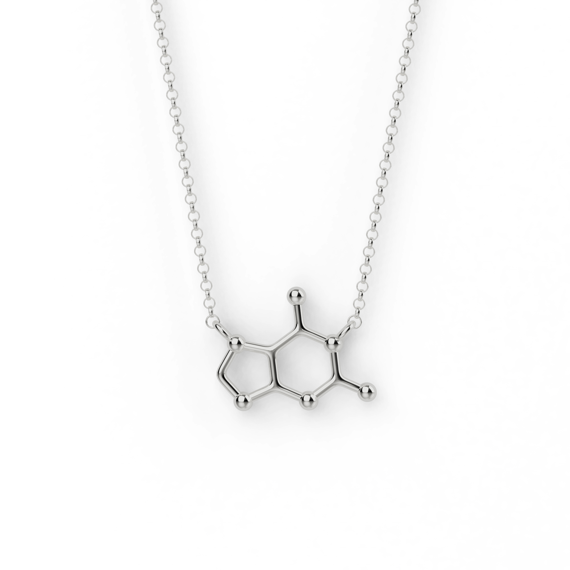 guanine necklace | silver