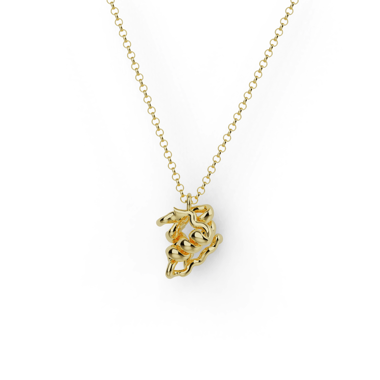 insulin necklace | gold vermeil