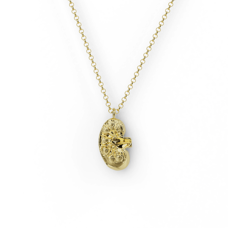 kidney necklace | gold vermeil