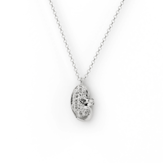 Sterling Silver Kidney Necklace with a detailed kidney-shaped pendant.