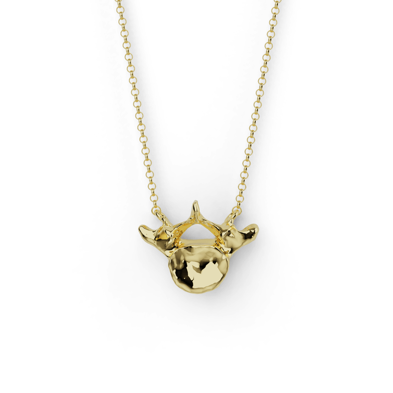 lumbar vertebra necklace | gold vermeil