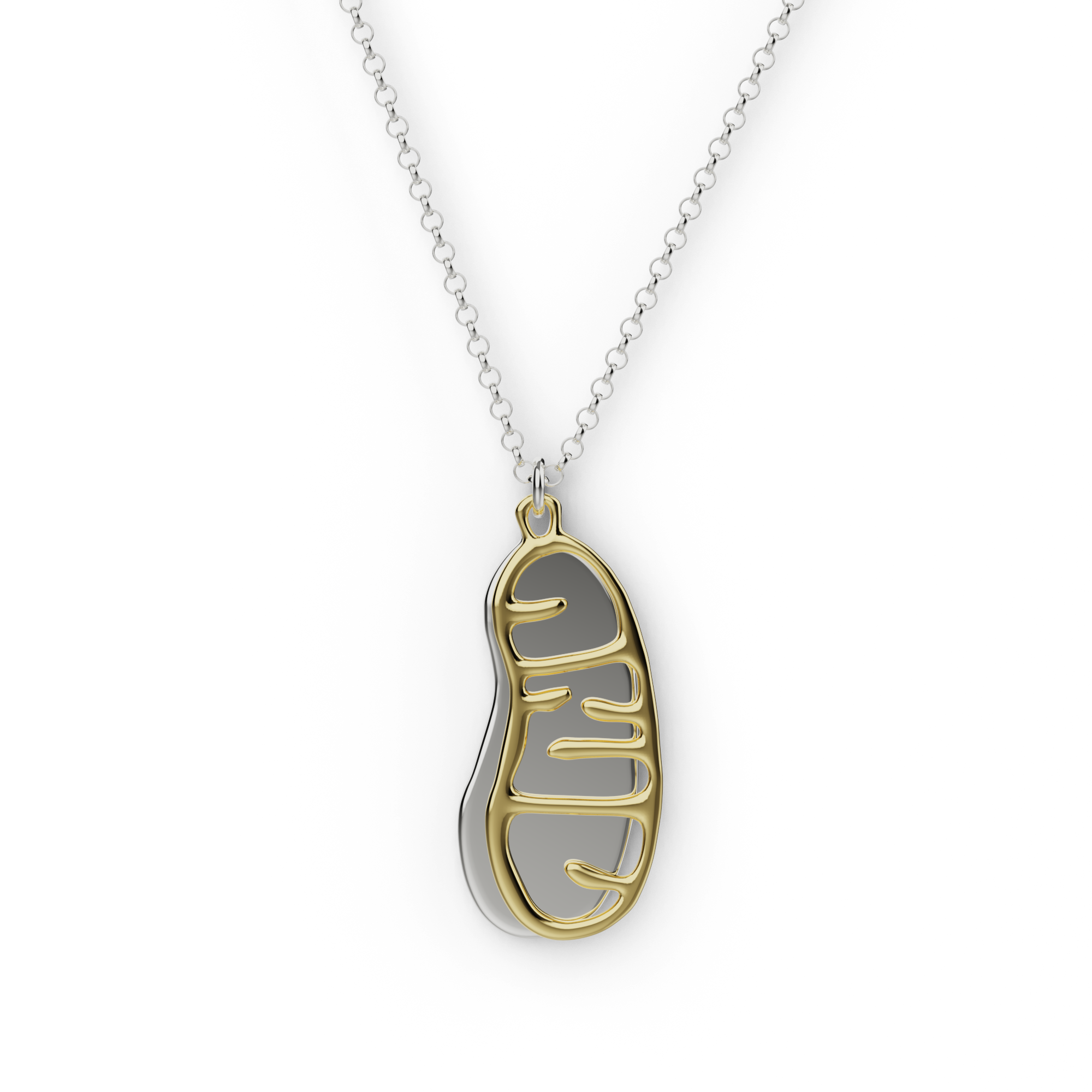 Mitochondrion necklace in silver and gold vermeil, inspired by cell biology and ATP production.