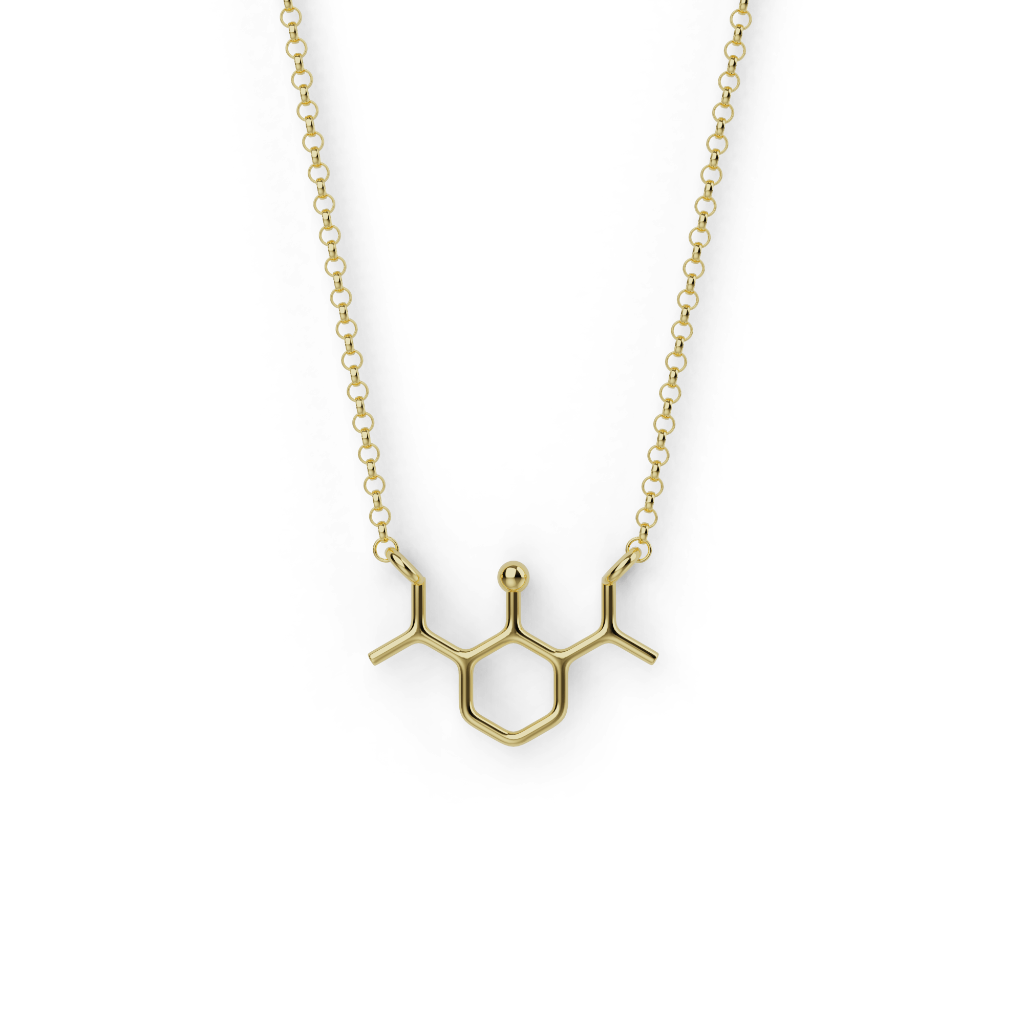 propofol necklace | gold vermeil
