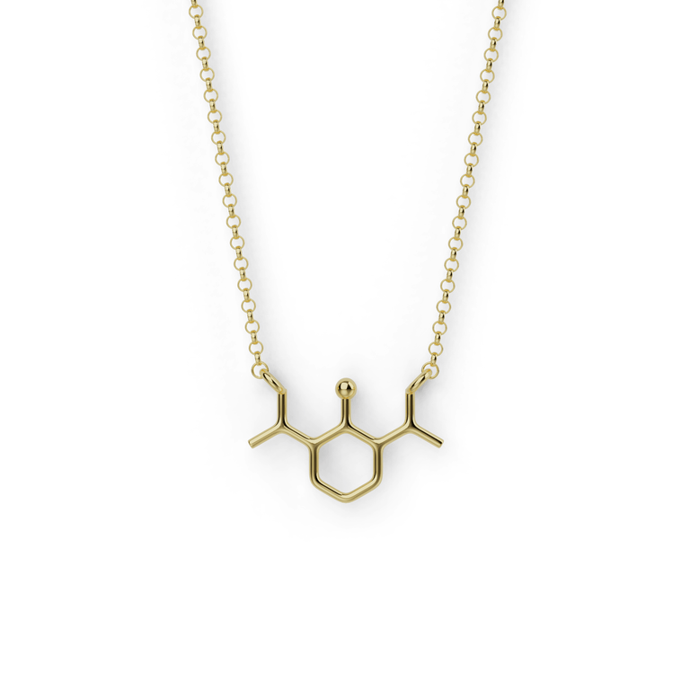 propofol necklace | gold vermeil