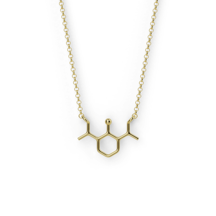 Gold vermeil propofol necklace showing molecular structure on fine chain – science-themed jewelry for anesthesiologists and medical students.