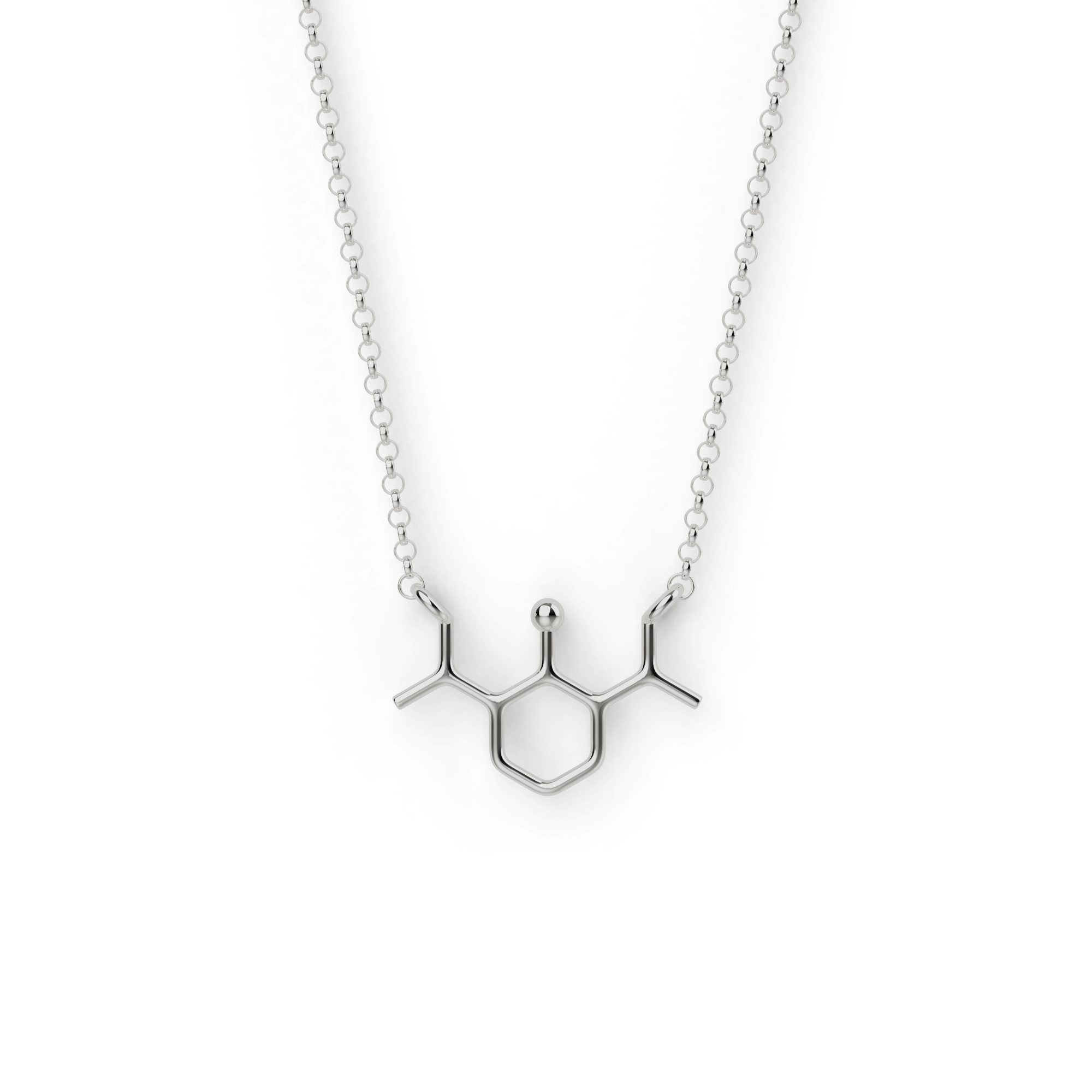 propofol necklace | silver