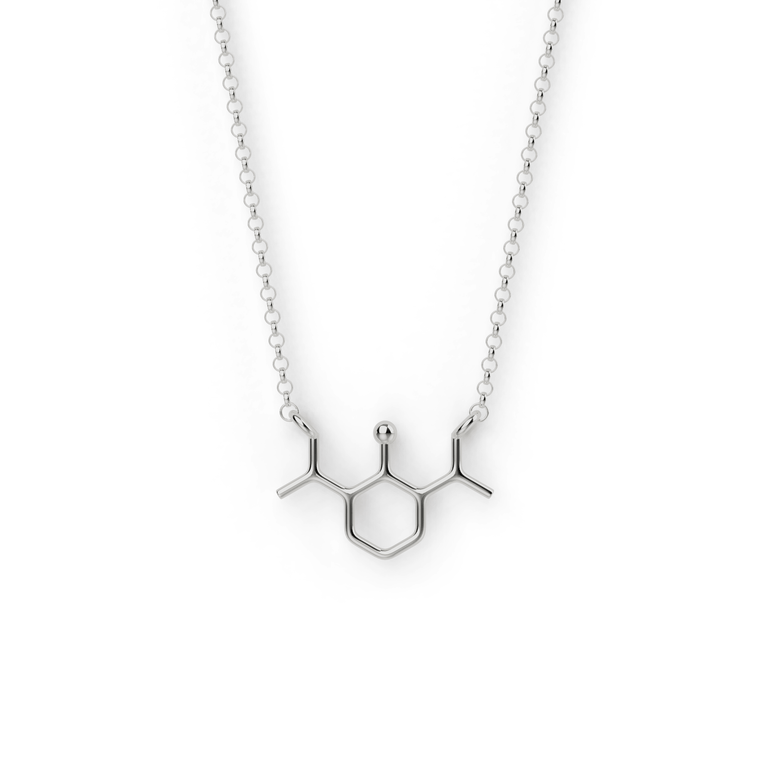 propofol necklace | silver