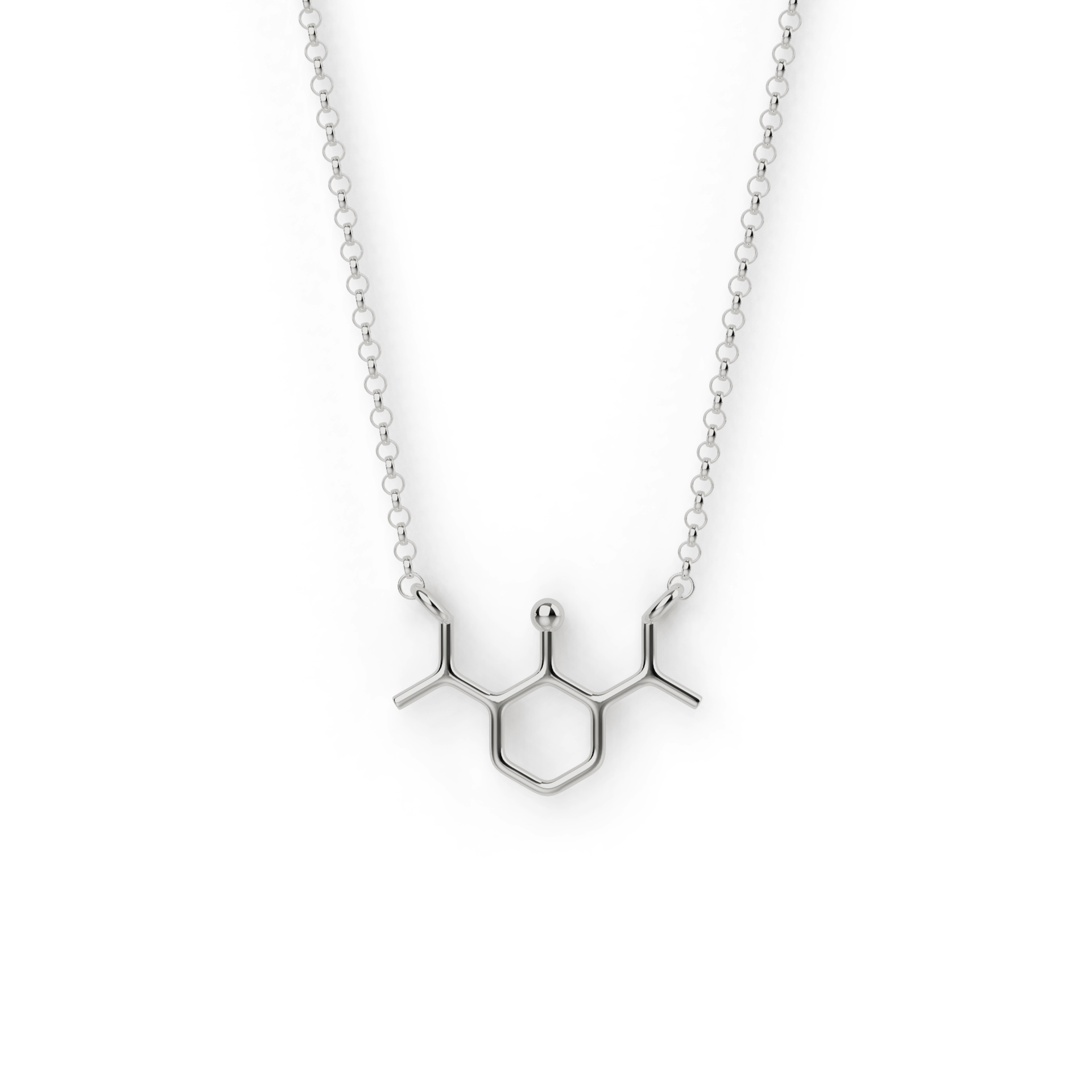 propofol-necklace-silver-