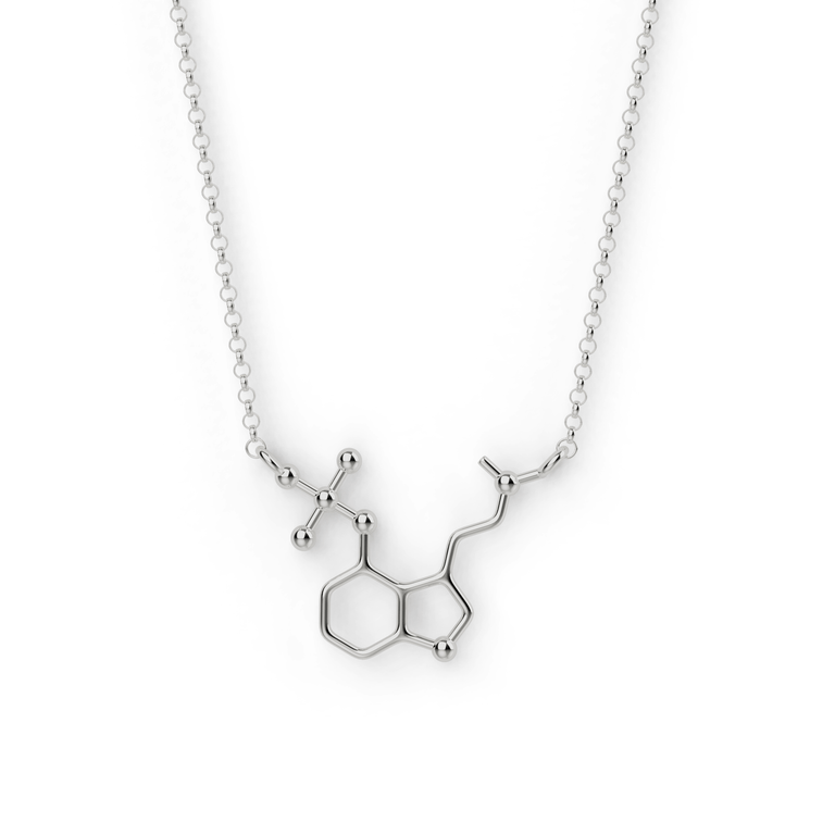 psilocybin necklace | silver