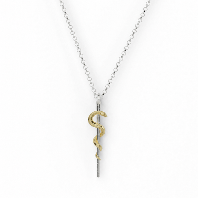 two-tone rod of Asclepius necklace, gold vermeil snake on a sterling silver staff