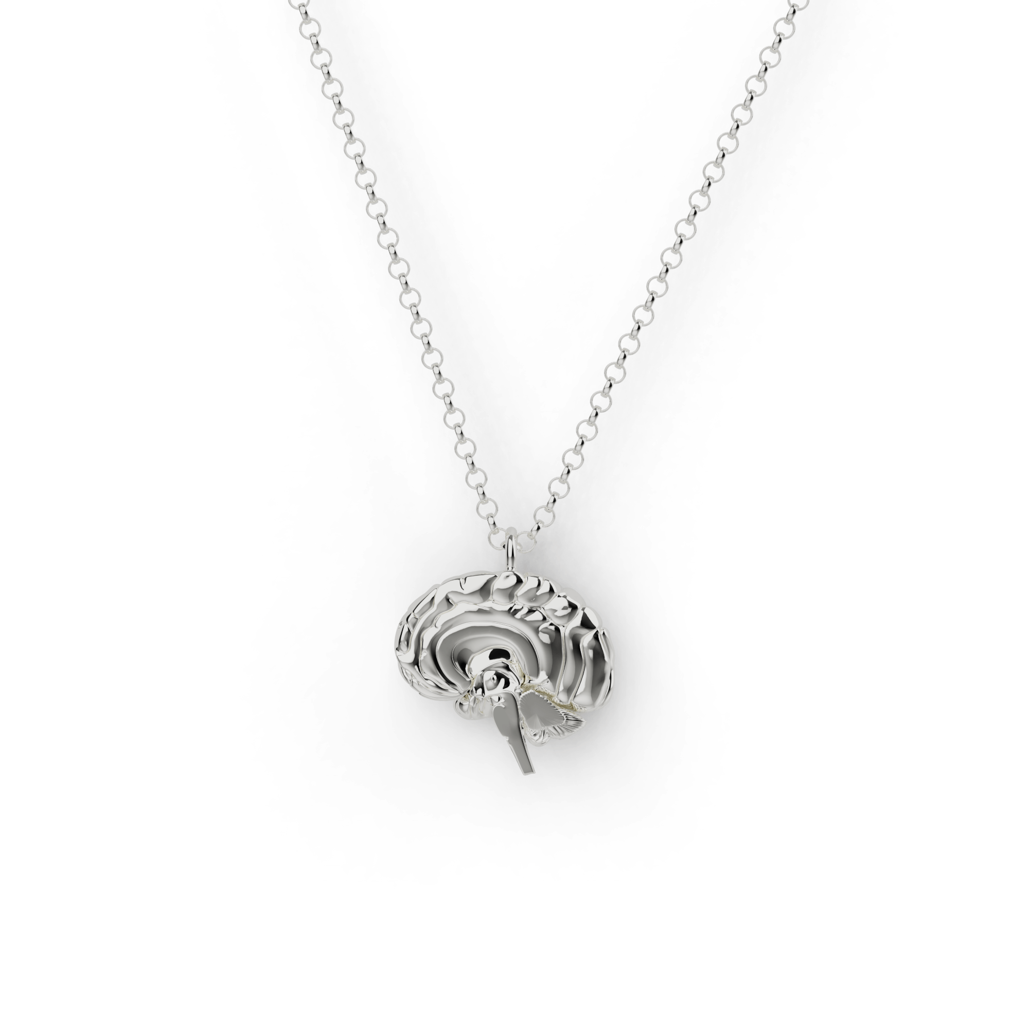 sagittal brain necklace | silver
