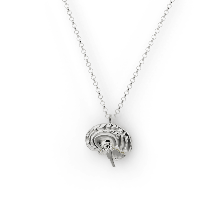 sagittal brain necklace | silver