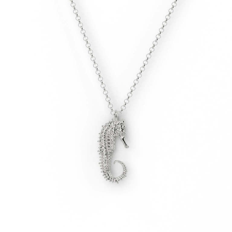 seahorse skeleton necklace | silver