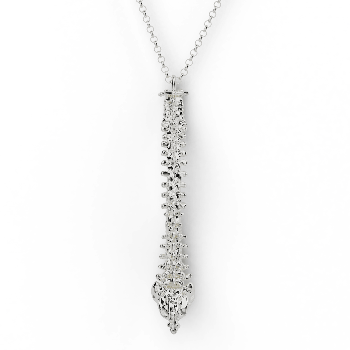 Spine Necklace | Sterling Silver Vertebral Column – sciencejewelry1824