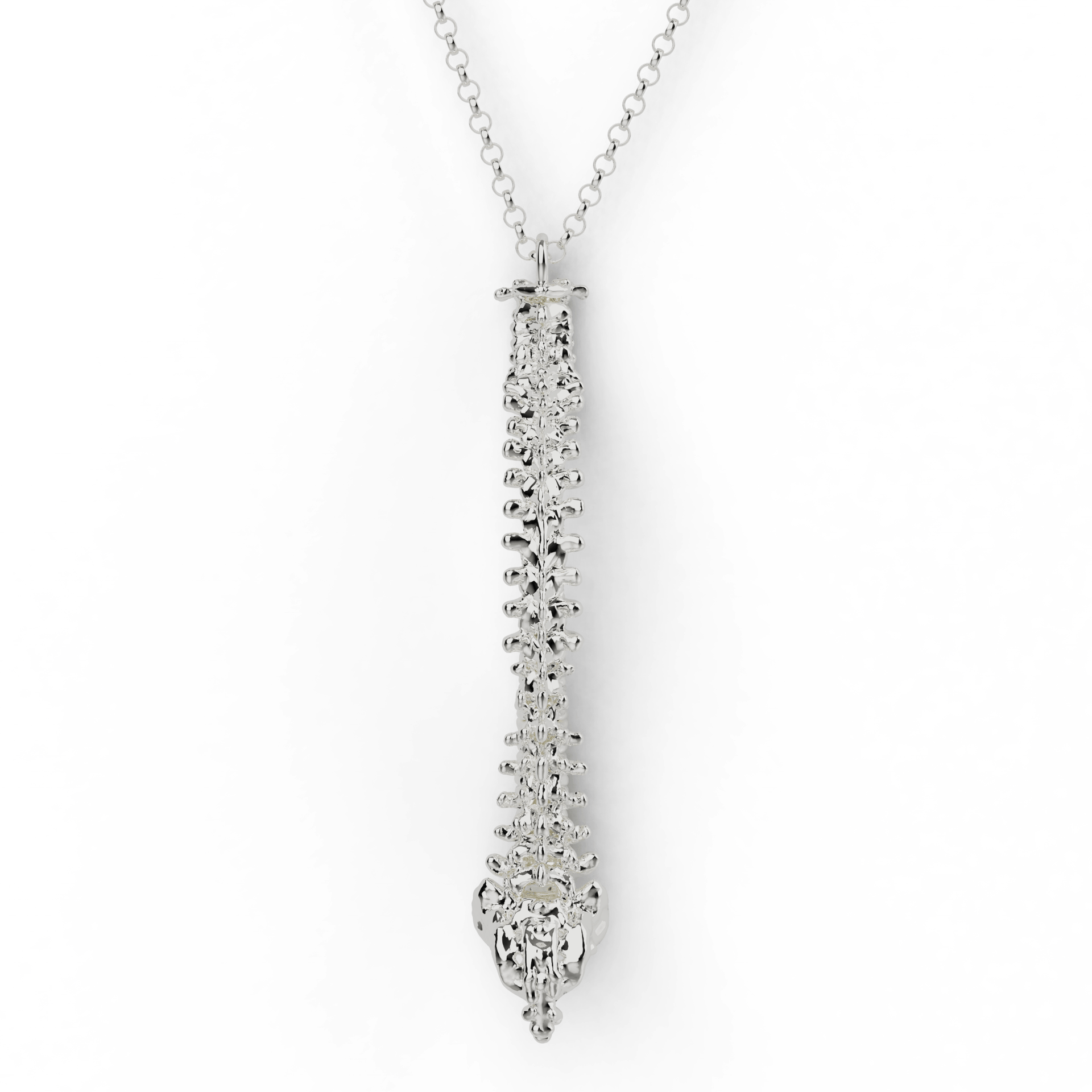 Spine Necklace | Sterling Silver Vertebral Column – sciencejewelry1824