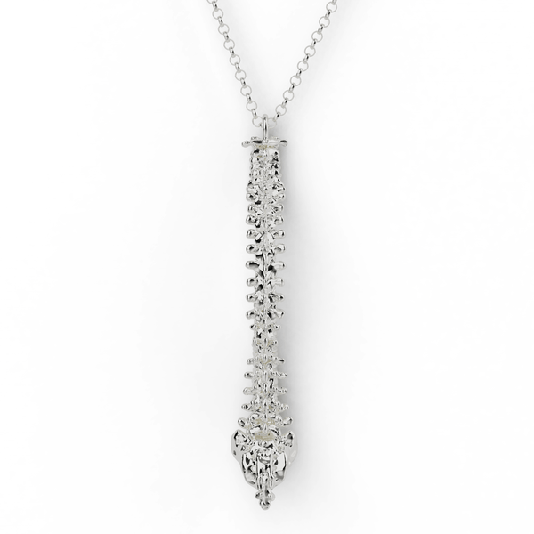 Spine Necklace | Sterling Silver Vertebral Column – sciencejewelry1824