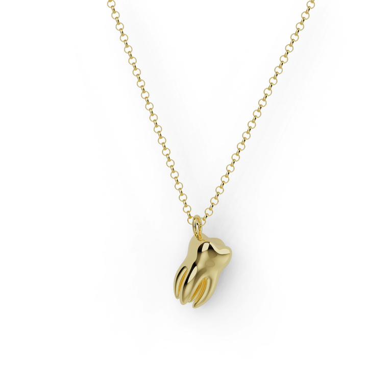 Gold vermeil tooth necklace with four roots, designed for bold and stylish science lovers.