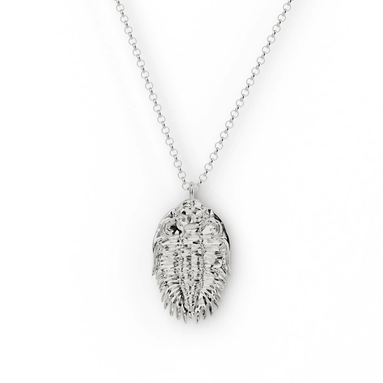 trilobite necklace | silver