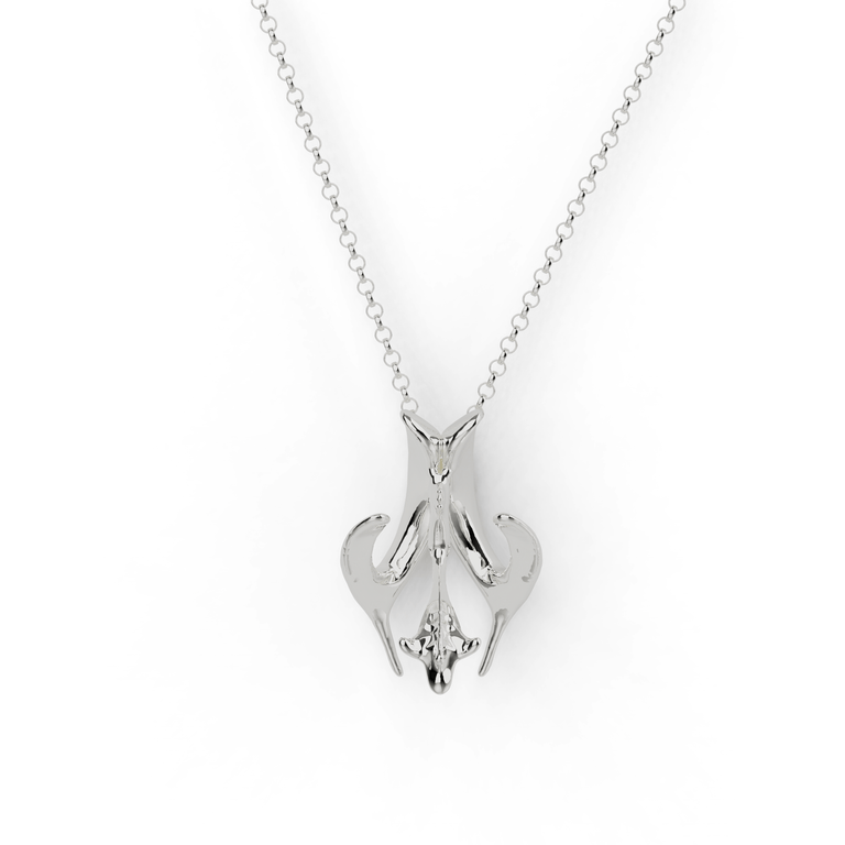 ventricular system necklace | silver