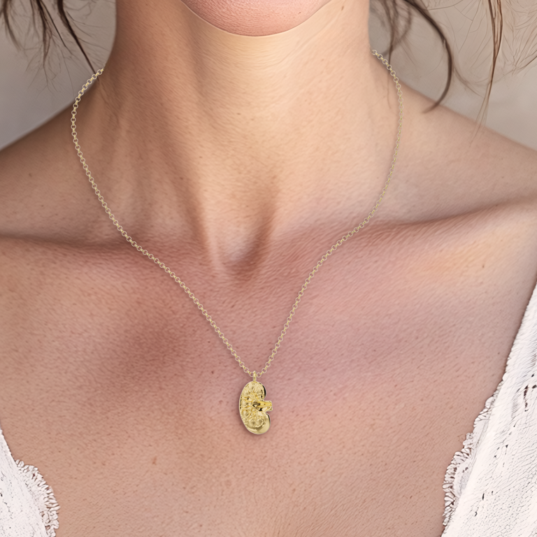 Close-up of the Gold Vermeil Kidney Necklace, featuring elegant kidney-inspired design.